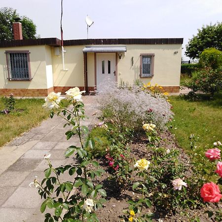 Ferienhaus Kaiserfelder Olbersdorf Екстер'єр фото